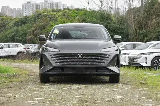 Yidong 2024 1,5-тонный GDI автоматический премиум-тип