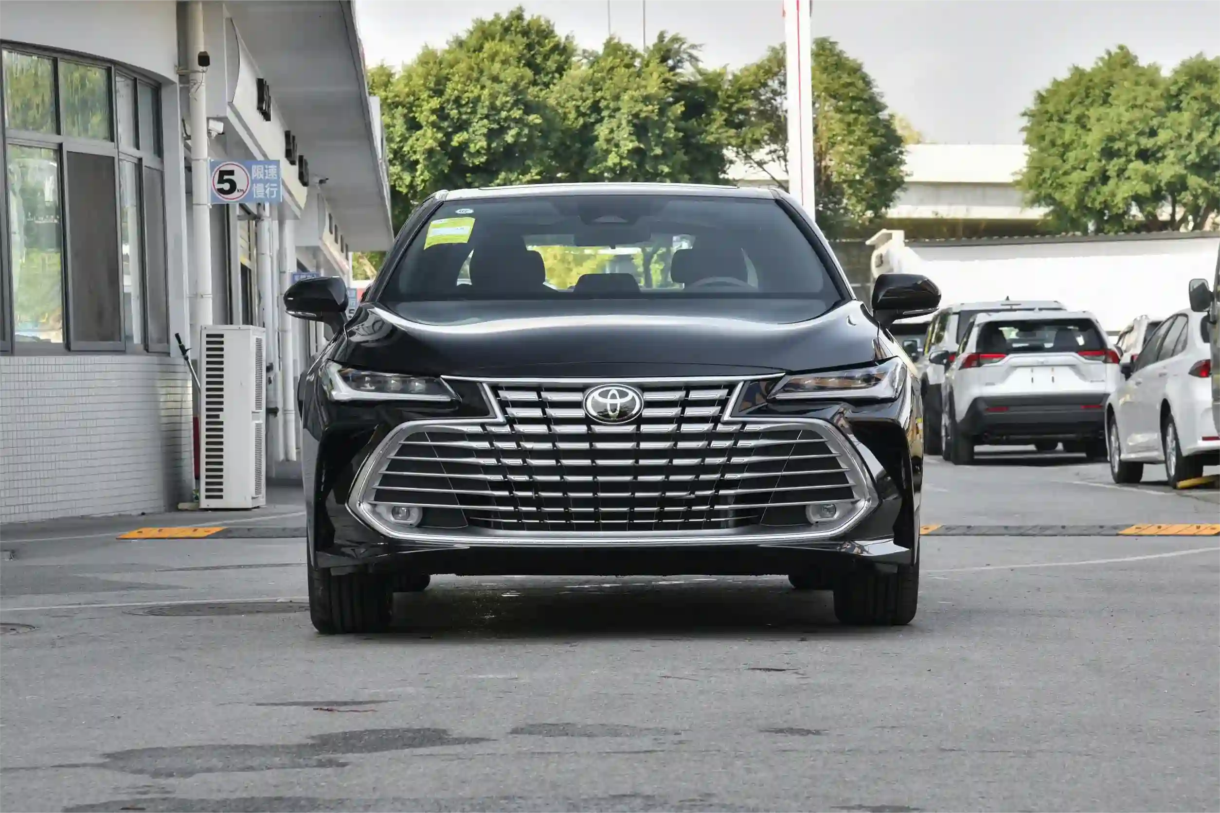 Агрессивная версия Asian Dragon 2024 с вариатором объемом 2,0 л