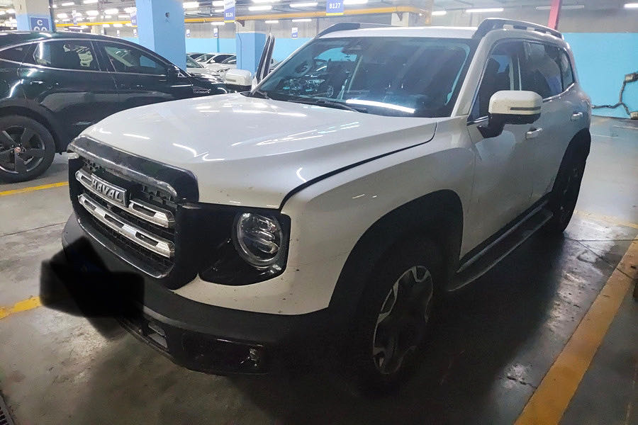 Сентябрь 2021 года – Haval Big Dog 2.0T, китайская версия для садовых собак с полным приводом